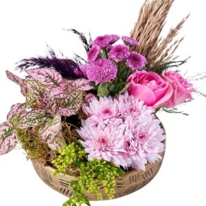 Sweet Mixed Flowers